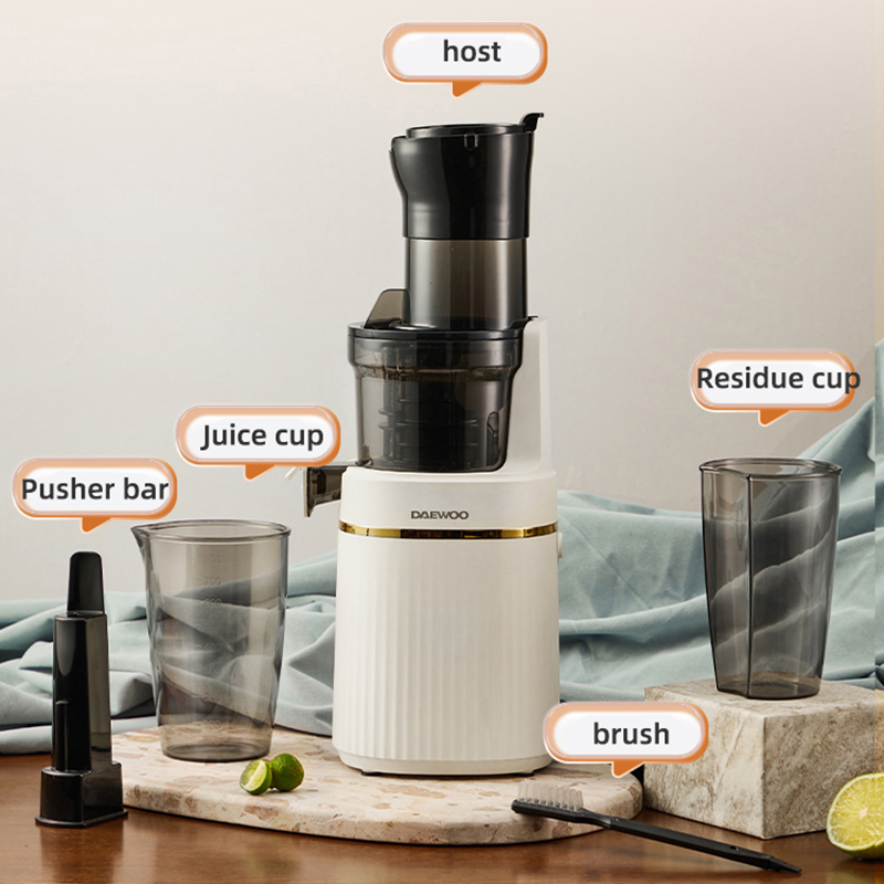 Electric Slow Juicer Cold Press - Przenośny blender elektryczny, wolnoobrotowa wyciskarka do